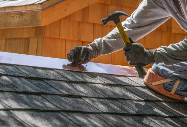 Best Roof Maintenance and Cleaning  in Wendell, NC