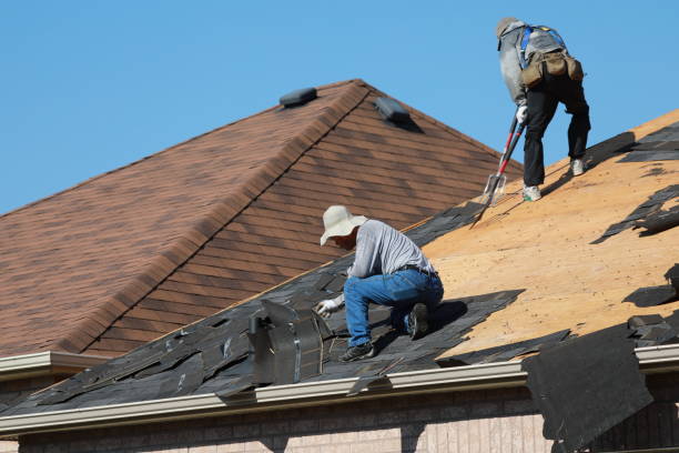 Best Asphalt Shingle Roofing  in Wendell, NC